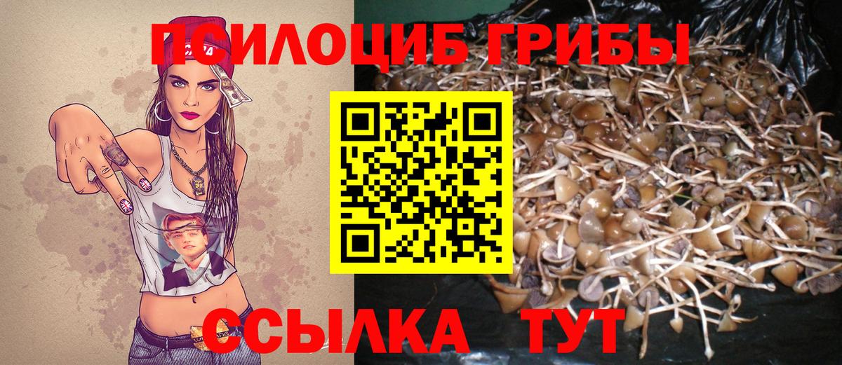 Галлюциногенные грибы Magic Shrooms Кохма