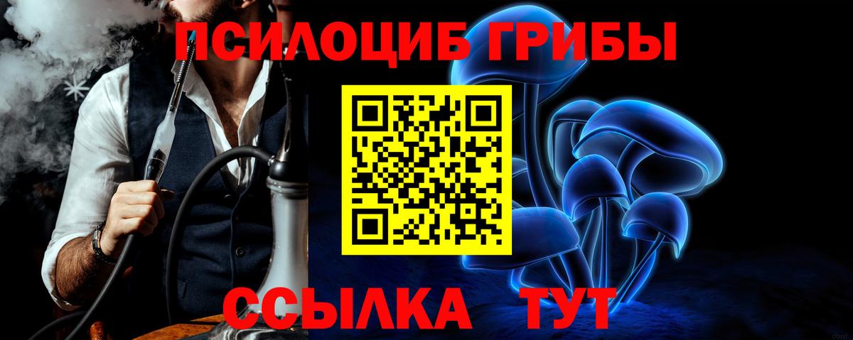 Псилоцибиновые грибы прущие грибы  Вход с VPN  Кохма 