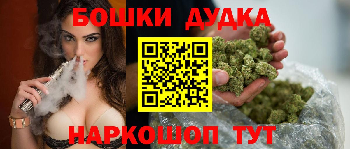 Бошки Шишки планчик Кохма